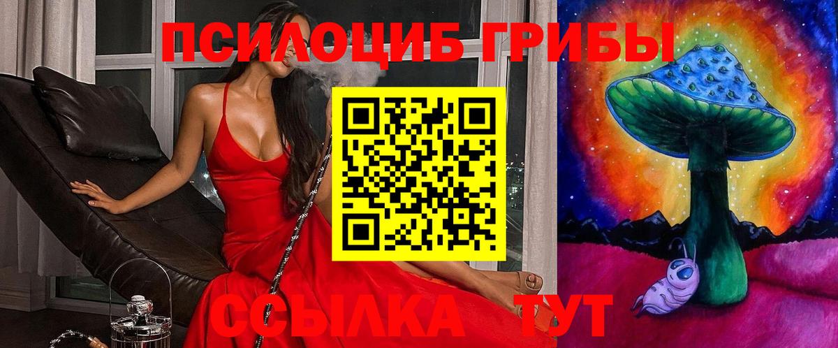 Галлюциногенные грибы Psilocybe  Вход с VPN  Аргун  Галлюциногенные грибы GOLDEN TEACHER 