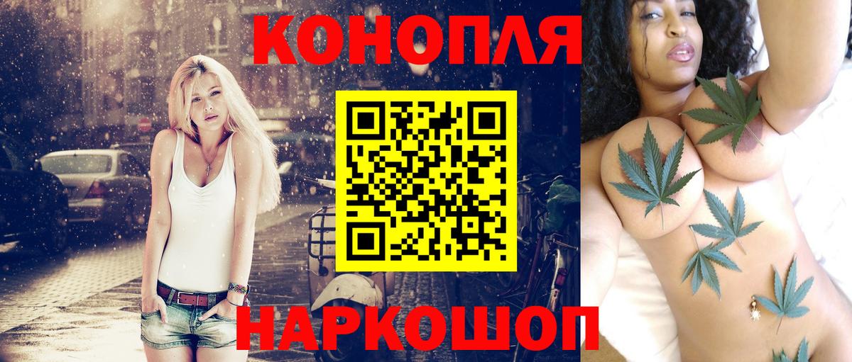 Марихуана конопля Аргун